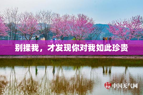别揉我，才发现你对我如此珍贵