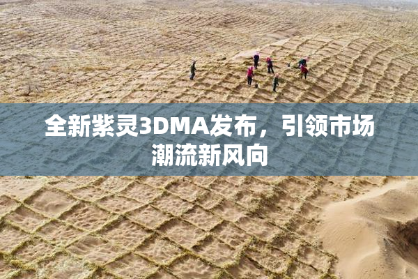 全新紫灵3DMA发布，引领市场潮流新风向