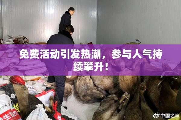 免费活动引发热潮，参与人气持续攀升！