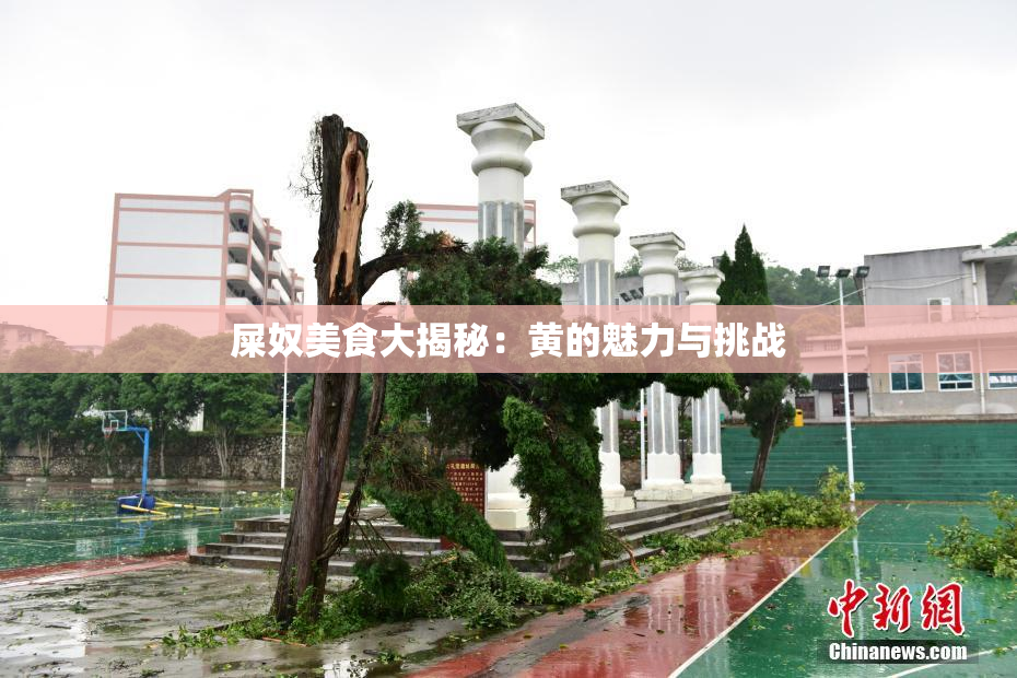 屎奴美食大揭秘：黄的魅力与挑战