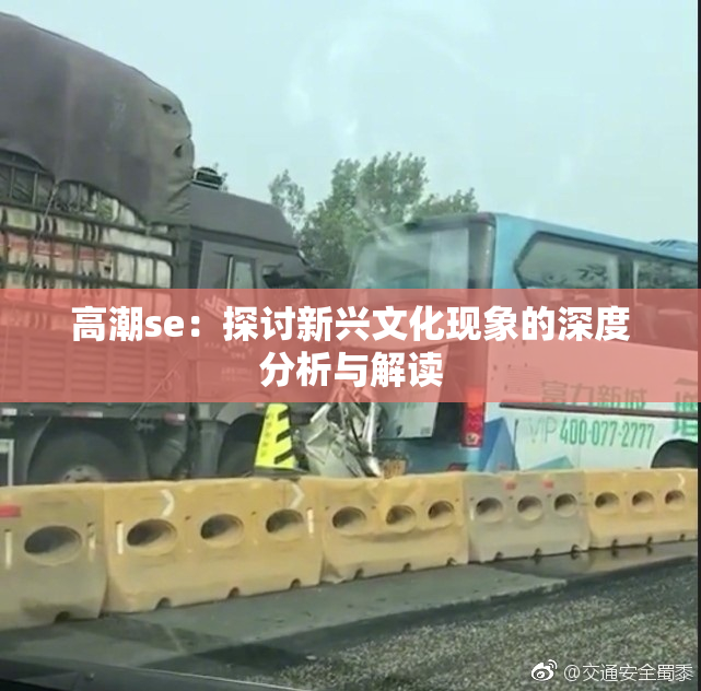 高潮se：探讨新兴文化现象的深度分析与解读