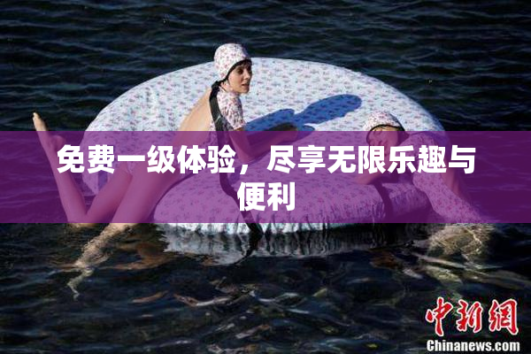 免费一级体验，尽享无限乐趣与便利