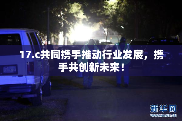 17.c共同携手推动行业发展，携手共创新未来！