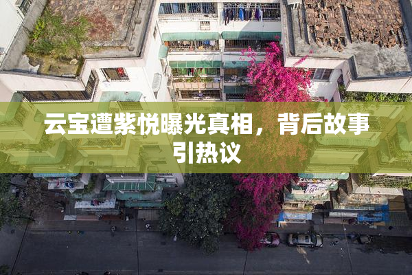 云宝遭紫悦曝光真相，背后故事引热议