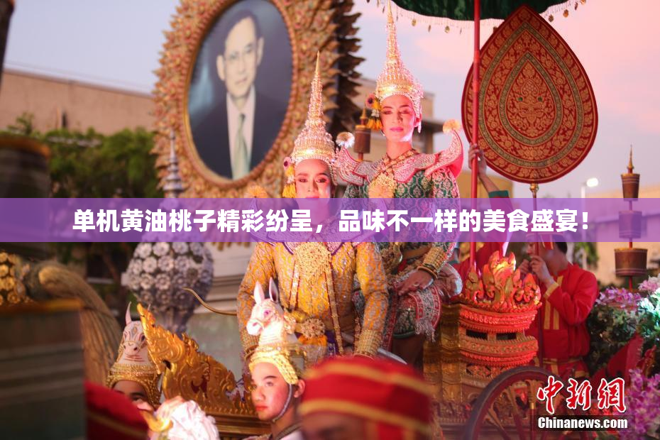 单机黄油桃子精彩纷呈，品味不一样的美食盛宴！