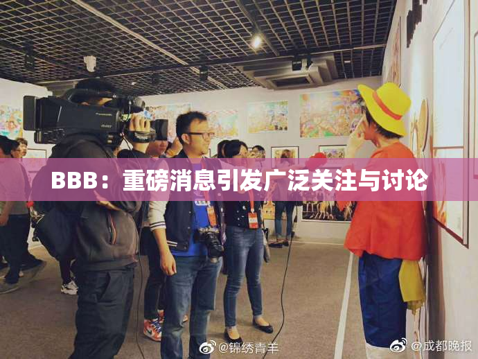BBB：重磅消息引发广泛关注与讨论