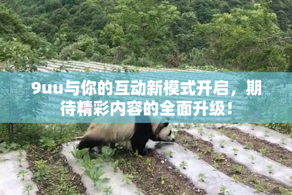 9uu与你的互动新模式开启，期待精彩内容的全面升级！
