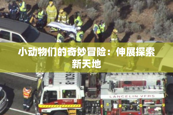 小动物们的奇妙冒险：伸展探索新天地