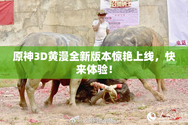 原神3D黄漫全新版本惊艳上线，快来体验！