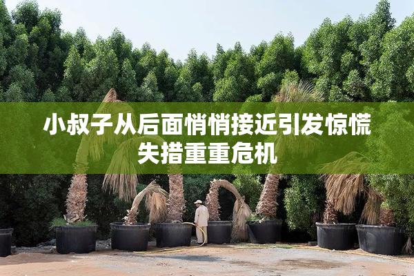 小叔子从后面悄悄接近引发惊慌失措重重危机