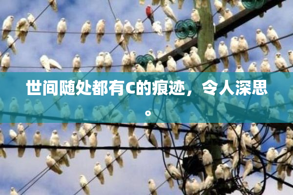 世间随处都有C的痕迹，令人深思。
