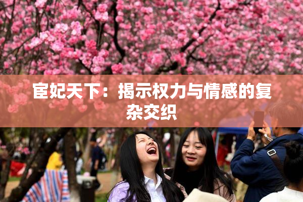 宦妃天下：揭示权力与情感的复杂交织