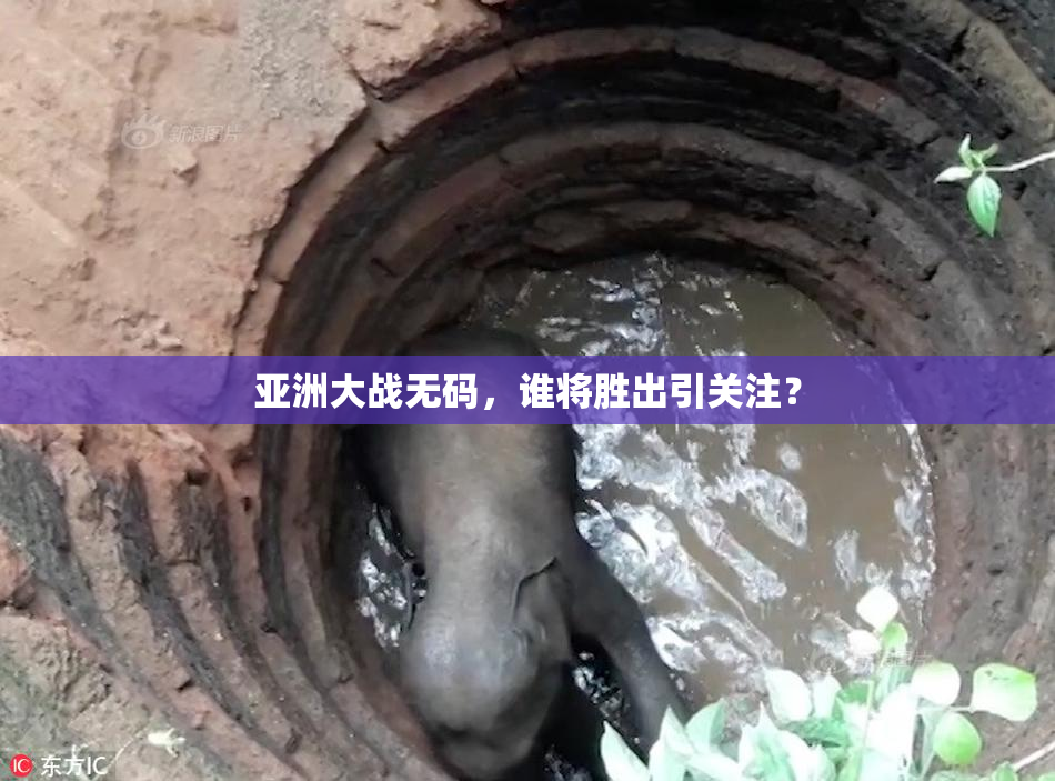 亚洲大战无码，谁将胜出引关注？