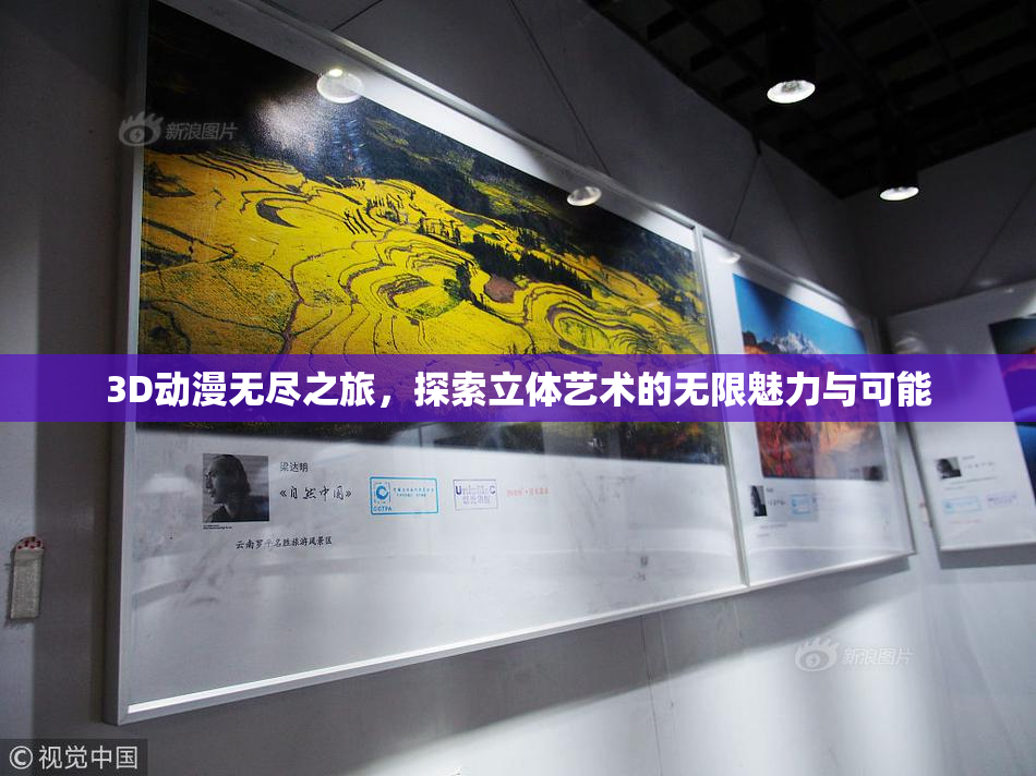 3D动漫无尽之旅，探索立体艺术的无限魅力与可能
