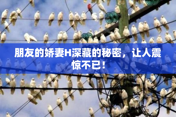 朋友的娇妻H深藏的秘密，让人震惊不已！