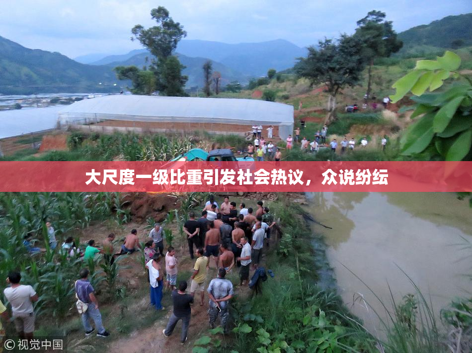 大尺度一级比重引发社会热议，众说纷纭