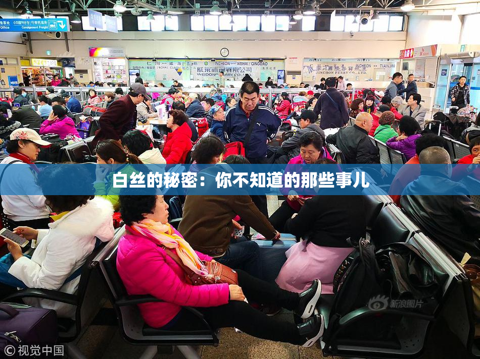 白丝的秘密：你不知道的那些事儿