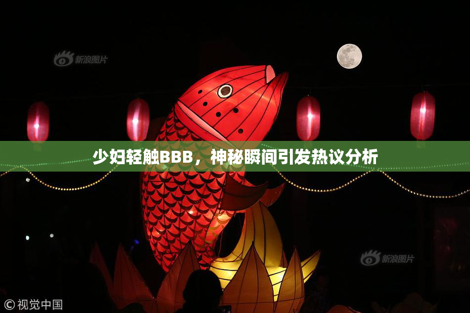 少妇轻触BBB，神秘瞬间引发热议分析