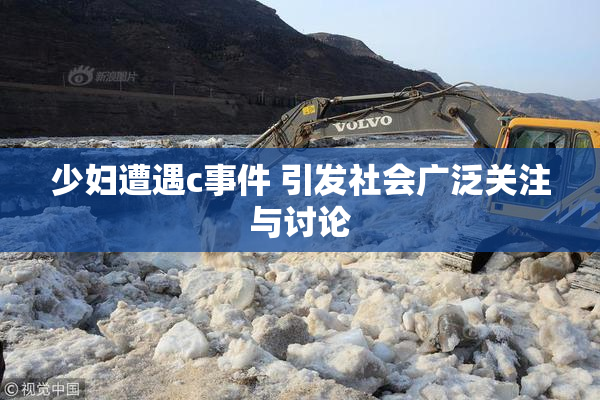 少妇遭遇c事件 引发社会广泛关注与讨论