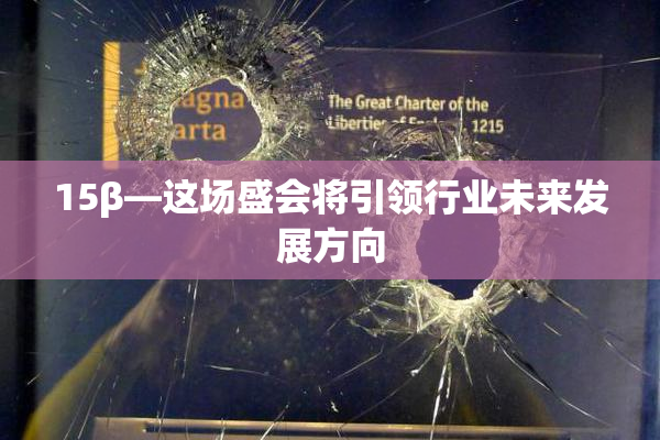 15β—这场盛会将引领行业未来发展方向