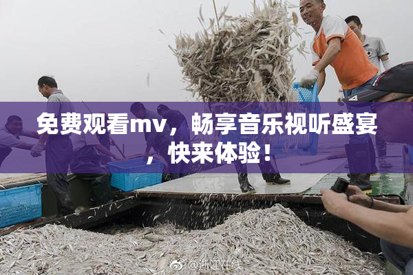 免费观看mv，畅享音乐视听盛宴，快来体验！