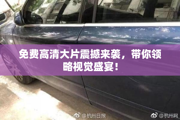 免费高清大片震撼来袭，带你领略视觉盛宴！