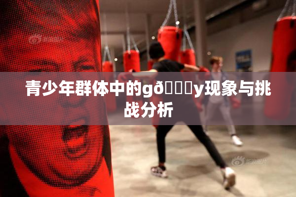 青少年群体中的g🈚y现象与挑战分析