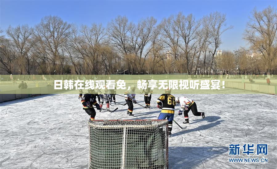日韩在线观看免，畅享无限视听盛宴！