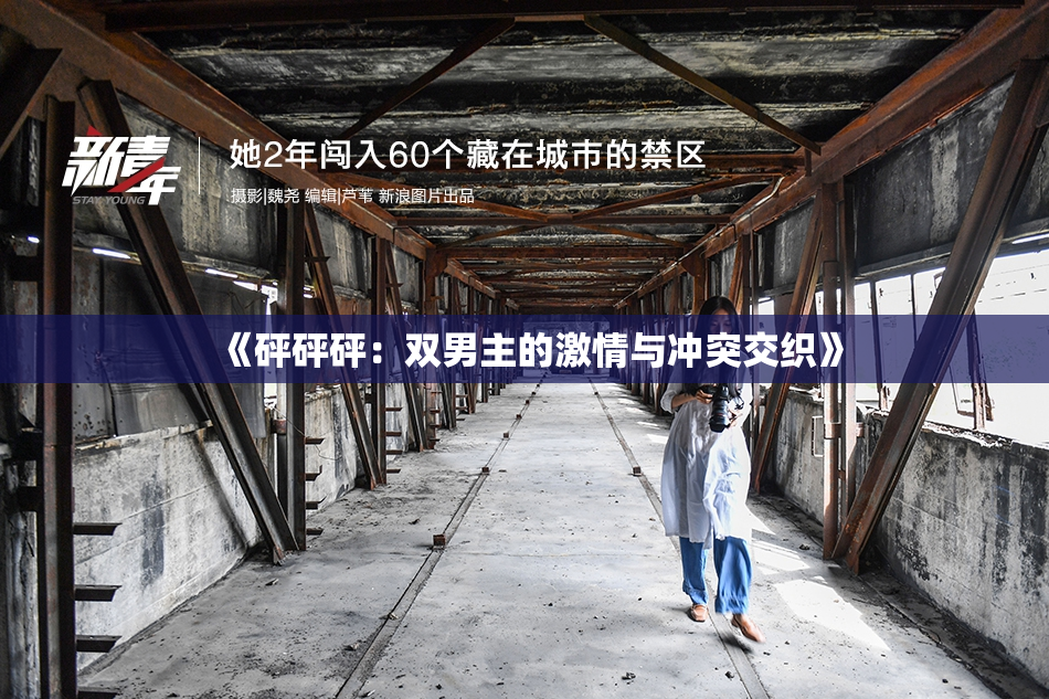 《砰砰砰：双男主的激情与冲突交织》