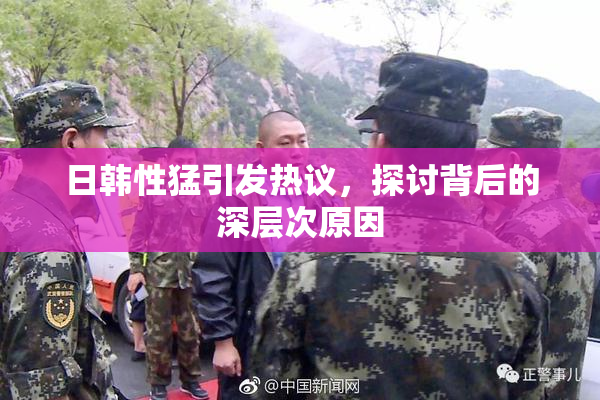 日韩性猛引发热议，探讨背后的深层次原因
