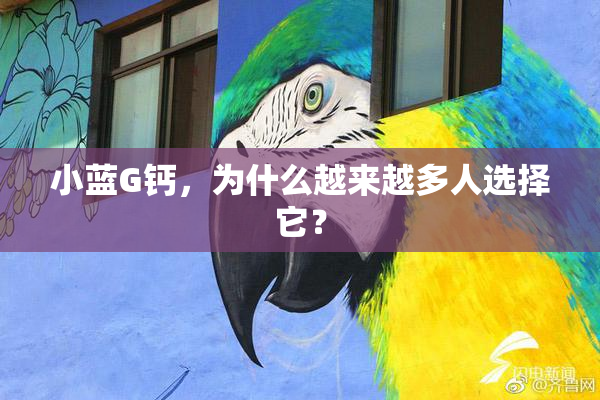 小蓝G钙，为什么越来越多人选择它？