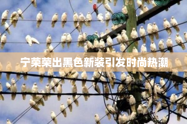 宁荣荣出黑色新装引发时尚热潮