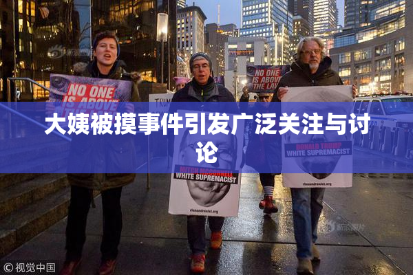 大姨被摸事件引发广泛关注与讨论