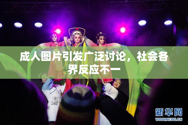 成人图片引发广泛讨论，社会各界反应不一