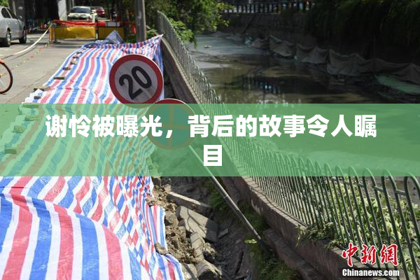 谢怜被曝光，背后的故事令人瞩目
