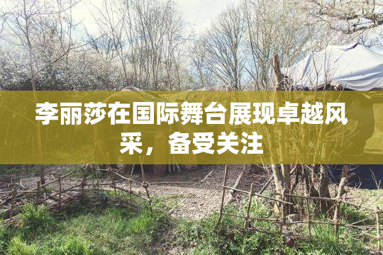 李丽莎在国际舞台展现卓越风采，备受关注
