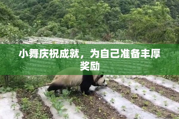 小舞庆祝成就，为自己准备丰厚奖励
