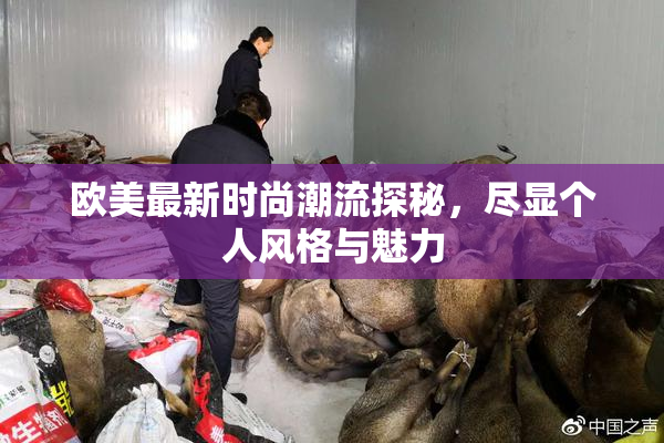 欧美最新时尚潮流探秘，尽显个人风格与魅力
