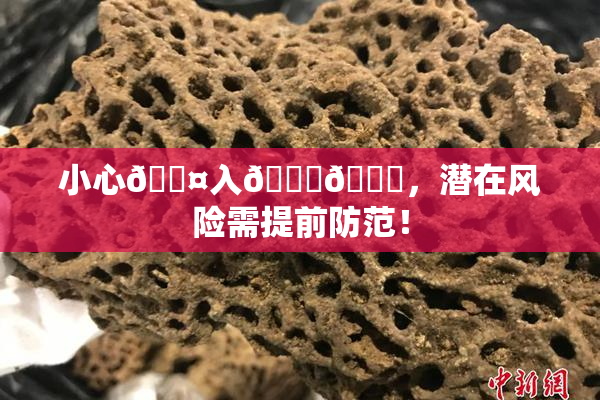 小心🐤入🍑🍑，潜在风险需提前防范！