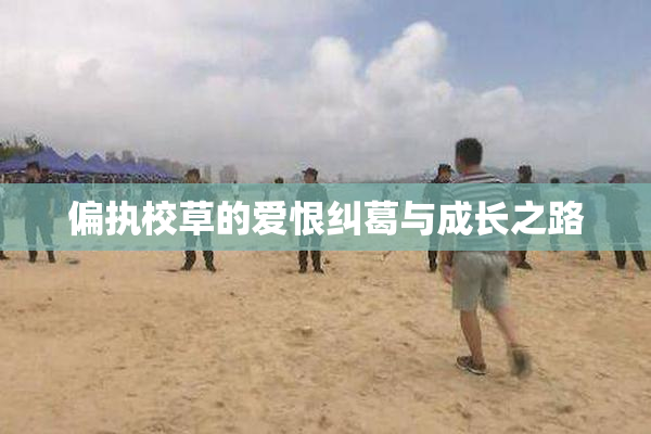 偏执校草的爱恨纠葛与成长之路