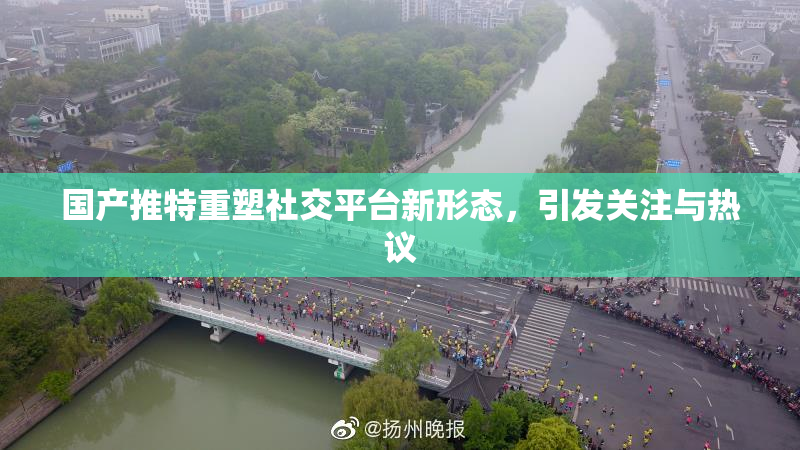 国产推特重塑社交平台新形态，引发关注与热议