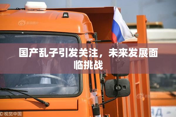 国产乱子引发关注，未来发展面临挑战