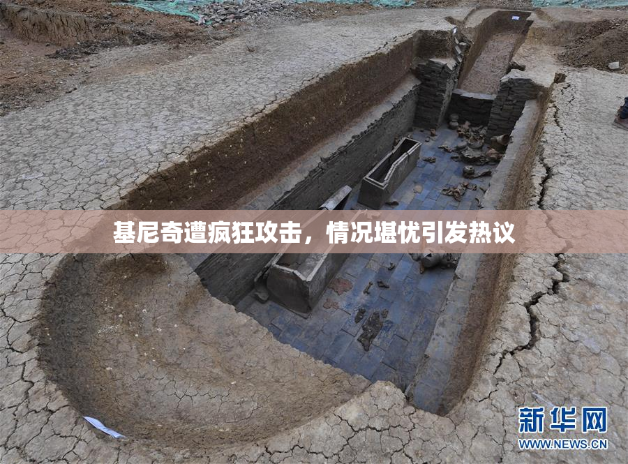 基尼奇遭疯狂攻击，情况堪忧引发热议