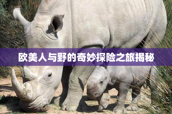 欧美人与野的奇妙探险之旅揭秘