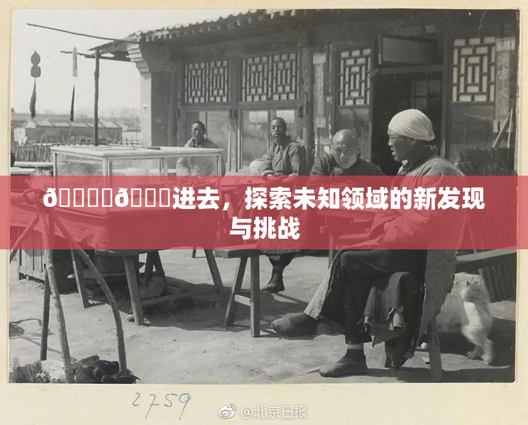 🔞‌🍌进去，探索未知领域的新发现与挑战