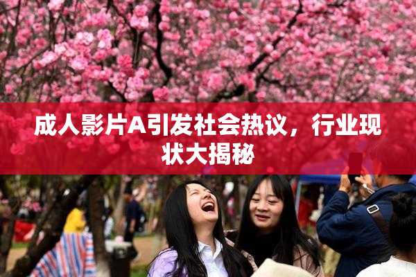 成人影片A引发社会热议，行业现状大揭秘
