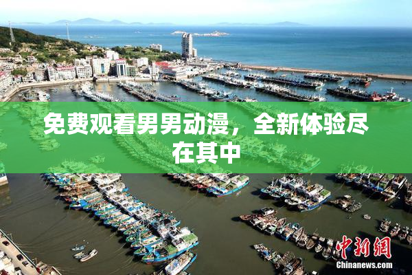 免费观看男男动漫，全新体验尽在其中