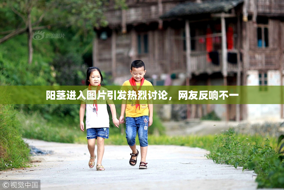 阳茎进入图片引发热烈讨论，网友反响不一