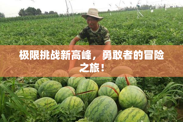 极限挑战新高峰，勇敢者的冒险之旅！