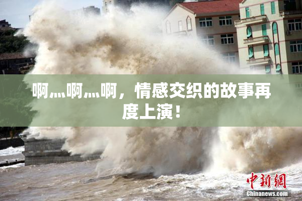 啊灬啊灬啊，情感交织的故事再度上演！